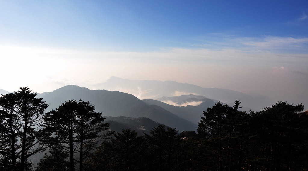 A breathtaking view of misty Himalayan peaks from Sandakphu, with dark silhouettes of pine trees in the foreground under a clear blue sky.
