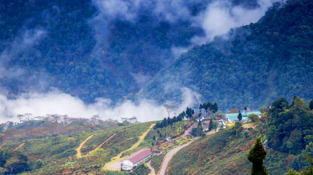 A scenic view of Darjeeling featuring misty hills, lush green tea gardens, and a cluster of buildings nestled among the mountains under a cloudy sky.
