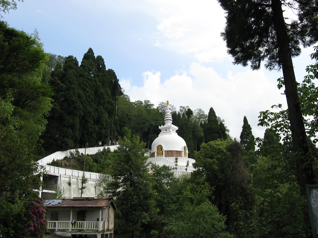 A white Peace Pagoda nestled among lush green trees on a hillside in Darjeeling, with a clear blue sky and a small house in the foreground.