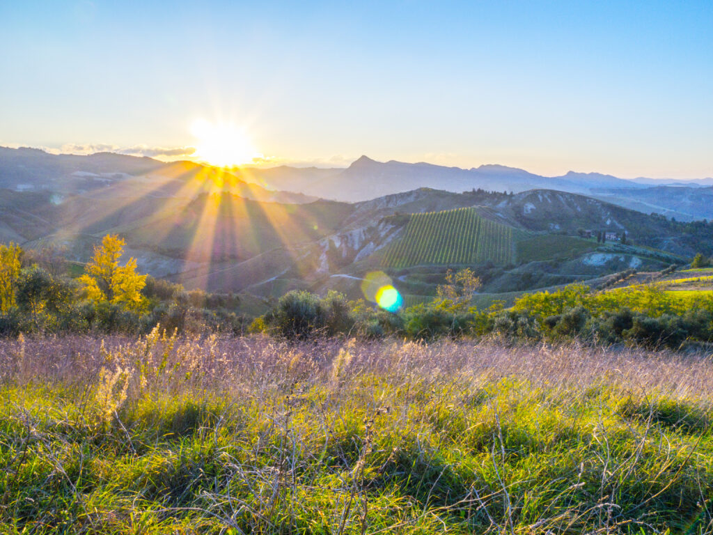 Sunset over the Valley of Flowers in Uttarakhand with golden sunlight illuminating lush green hills, vineyards, and wildflowers under a clear blue sky.