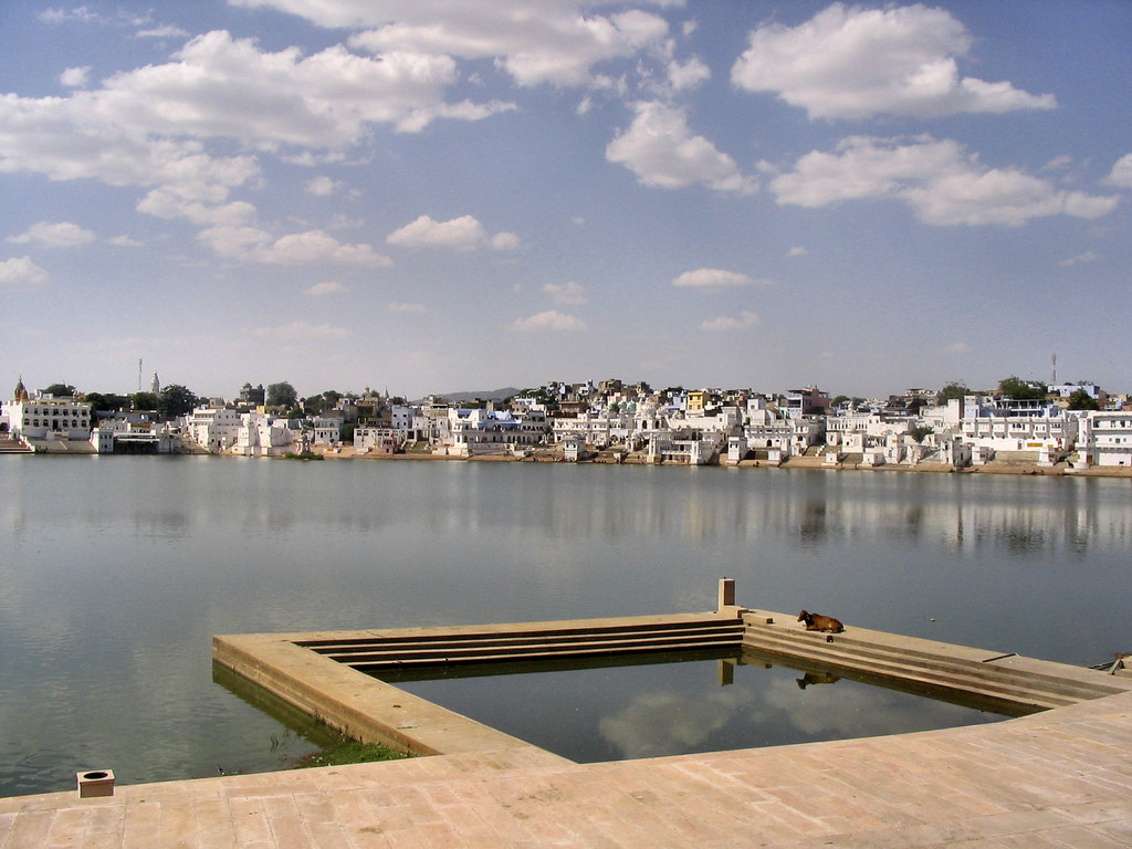 Serene view of Pushkar Lake in Rajasthan, India, with stone steps leading into the water, a resting cow on the ghat, and white-washed buildings lining the distant shoreline under a partly cloudy blue sky.