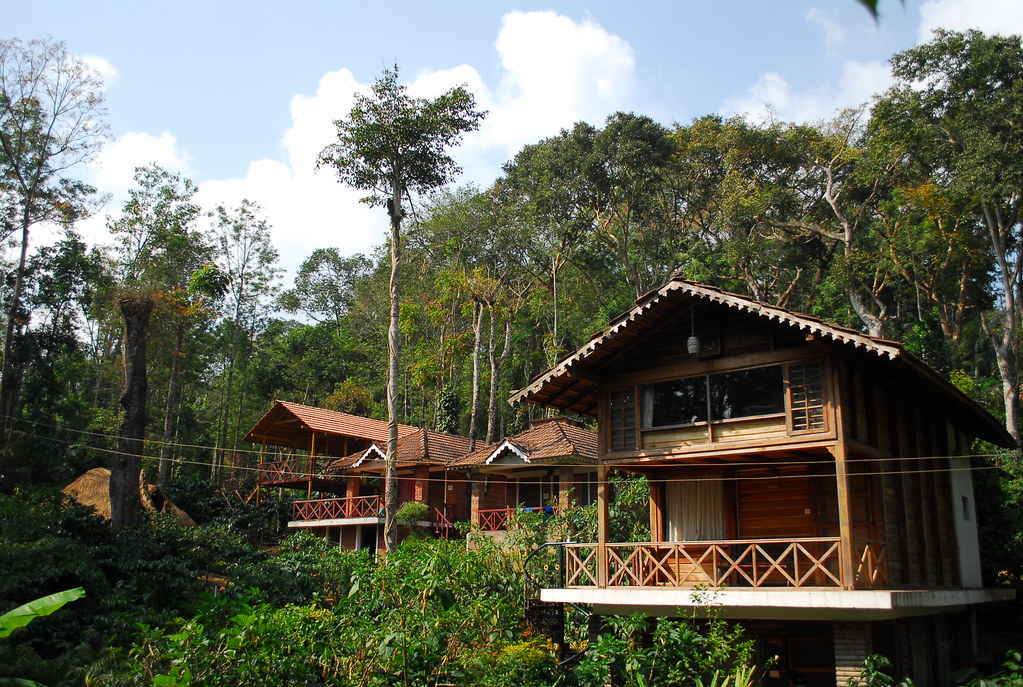 Wooden cottages nestled in the lush green forests of Coorg, Karnataka, with tall trees and a clear blue sky.